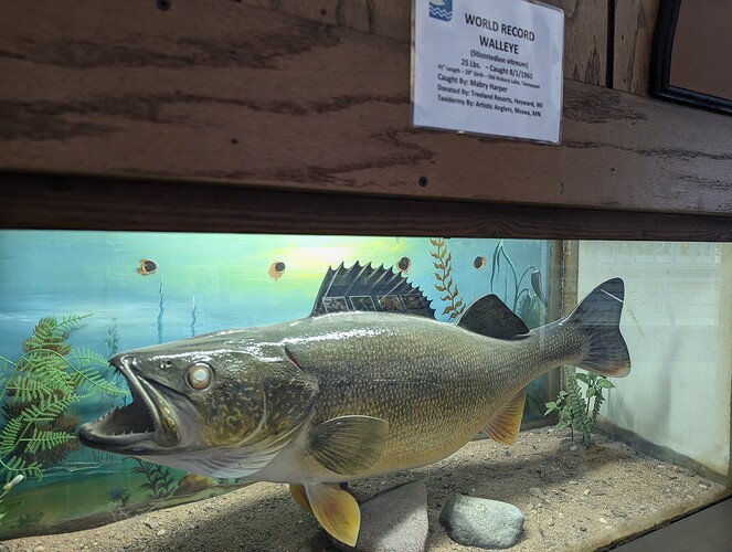 PXL_20240828_173534006