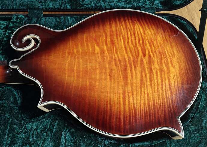 tailwater_back
