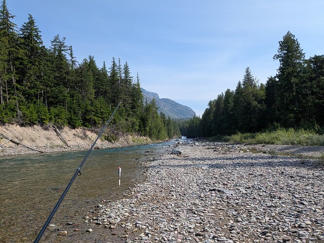 PXL_20260720_164439469.jpg