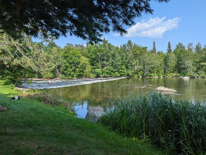 PXL_20240819_204829127