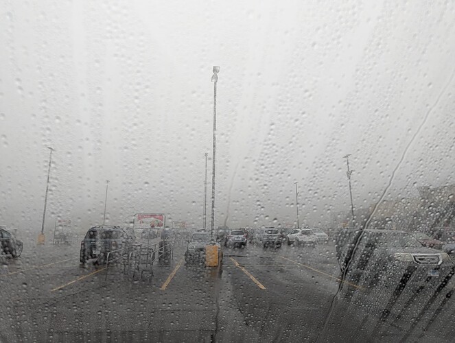 Fog, fog, more fog