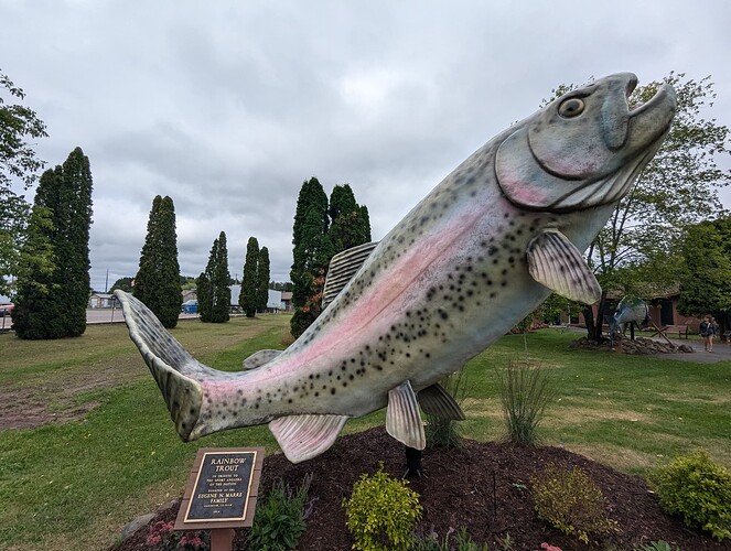 outdoor-rainbow-trout