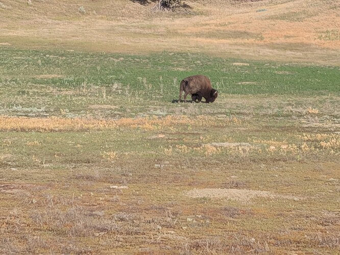 PXL_20250703_131848064