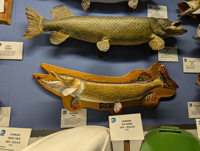 PXL_20240828_173408510