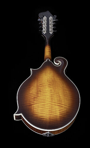 Tailwater-TWF5-Back-larger-scaled