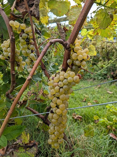 PXL_20250904_182007204