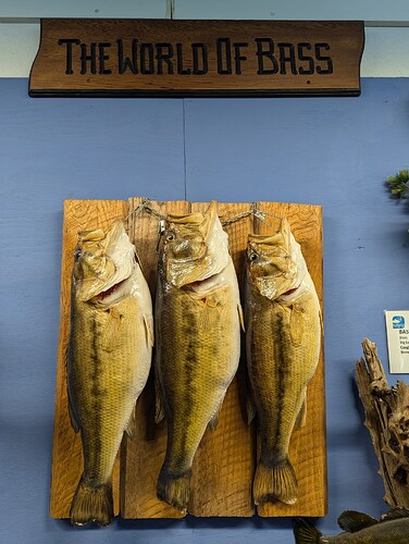 PXL_20240828_173457192