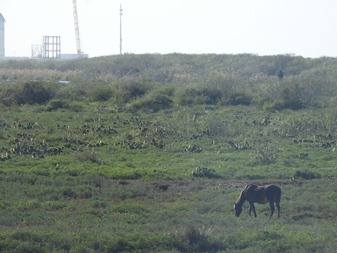 DSCN0917.JPG