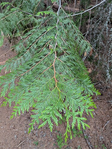 PXL_20260720_231930106.jpg